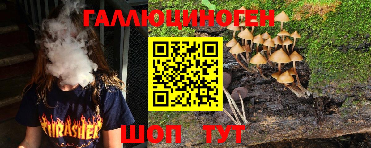 Калининград  Псилоцибиновые грибы Psilocybine cubensis  Вход с VPN 